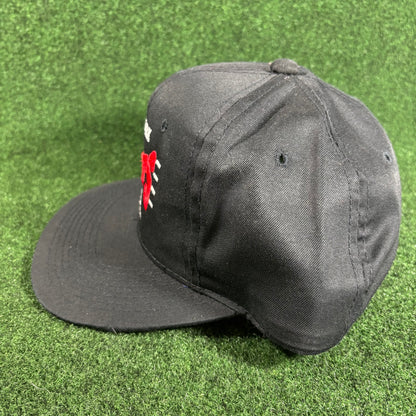 Vintage New York Giants Snapback Hat NFL